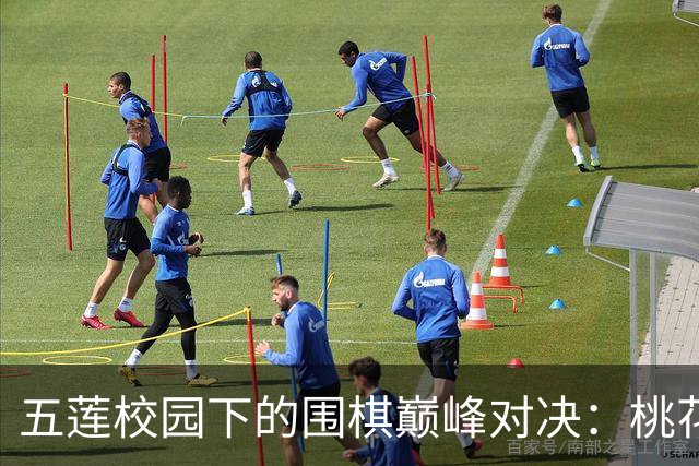 五莲校园下的围棋巅峰对决：桃花虽美，仍敌蜀旅风采