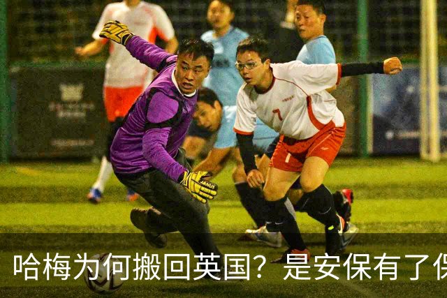 哈梅为何搬回英国？是安保有了保障？还是在美国过得不开心